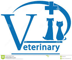 Dog Food Distributors In Delhi Dog Food Distributors In Delhi